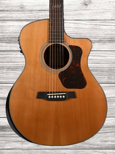Walden G570RCERVW RUI VELOSO 40 YEARS WITH BAG  B-Stock - Modelo: G570RCERVW Rui Veloso 40 anos, Topo: cedro vermelho ocidental sólido, Parte traseira e laterais: mogno, Braço: mogno, reforçado com fibra de vidro, Escala: pau-rosa, 12º traste com embutime...