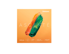 Daddario  Ascenté A410 LM - As cordas de viola Ascenté foram especificamente concebidas para ajudar os músicos a avançar com elegância e consistência no seu ofício. Com uma gama tonal mais ampla, excelente estabilidade de tom...