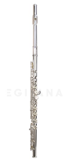 Wisemann DFl-480S  - Mecanismo de Mi, Chaves abertas e desalinhadas, Com pata de Si, Acabamento prateado, Inclui kit de limpeza completo, Inclui estojo tipo mochila com alças, 