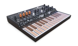 Arturia MicroFreak  - Sintetizador Arturia MicroFreak, Sintetizador Híbrido, Teclado de toque com 25 teclas, Velocidade dinâmica com aftertouch polifônico, Oscilador digital com métodos de síntese como Karplus Strong, H...