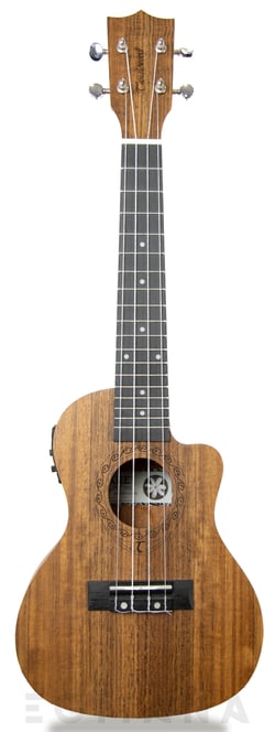 Tanglewood TWT 12E  - 