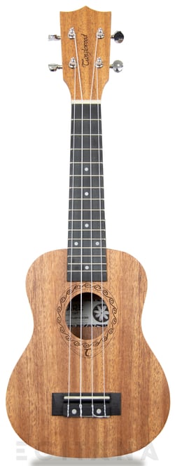 Tanglewood TWT1  - 