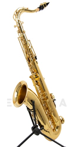 Wisemann DTS-350  - Afinação em Sib, Chave de Fá# agudo, Pontos de ajuste nas chaves, Acabamento em lacado dourado., Inclui estojo tipo mochila, Inclui kit de limpeza., 