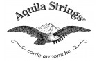 Aquila Aquila
