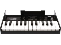 Outros acessórios para teclados Roland K-25M Teclado para Sintetizadores Modulares Roland BOUTIQUE  
	

	
	

	

	

	 

	

	
