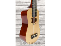  Ashton UKE110NT  