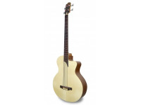 Baixo Acústico APC  BG100 MX CW  