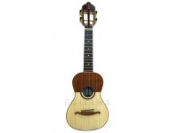  APC CAV Luthier  