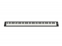  Carry on   Folding Piano 88 Touch Black 