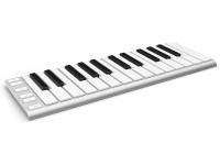  CME   Xkey Air 25 