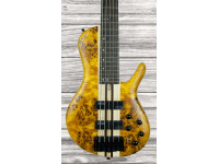  Cort A5 Plus SC Amber Open Pore  