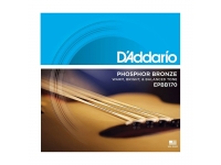  D´Addario EPBB170 