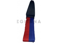 Egitana Correia Para Guitarra - Azul e Vermelho Claro 