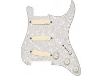  EMG DG20 Kit Pickguard David Gilmour  