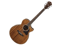  Ibanez AE245-NT  