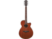  Ibanez  AEG220-LGS 