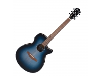  Ibanez AEG50-IBH 