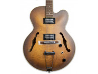 Ibanez AF55-TF  