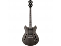  Ibanez AS53-TKF Artcore  