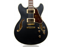 Ibanez  AS73GBKF  