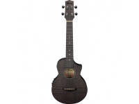  Ibanez  UEW12E-BIF 