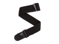  Planet waves PWS100  