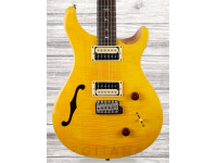  PRS  SE Custom 22 Semi-Hollow SY  