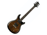  PRS  SE Pauls Guitar BG 