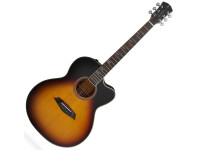  Sire Larry Carlton A4-G VS 
