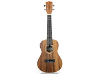 Ukulele Concerto Tanglewood TWT 8 E  