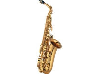  Yamaha YAS-875 EX  
	
	O novo saxofone alto YAS-875EX Custom EX Yamaha marca um grande passo à frente quanto ao design de saxofones. Oferecendo aos músicos uma infinidade de novas possibilidades, o novo Custo EX foi desenvolvido em colaboração com alguns dos mais talentosos saxofonistas do mundo, incluindo Nobuya Sugawa, Jean-Yves Fourmeau e Otis Murphy. Sua entrada inestimável significa que a Yamaha foi capaz de criar um instrumento com excelente sonoridade, confortável de tocar e que evolui de forma constante com o músico.
