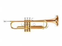 Trompete Yamaha YTR-5335GII Trompete Afinação Bb 